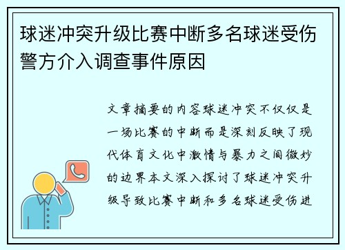 球迷冲突升级比赛中断多名球迷受伤警方介入调查事件原因